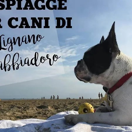 Отель Nuova Graziosa 3*