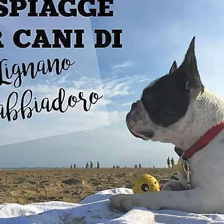 Nuova Graziosa Hotel Lignano Sabbiadoro